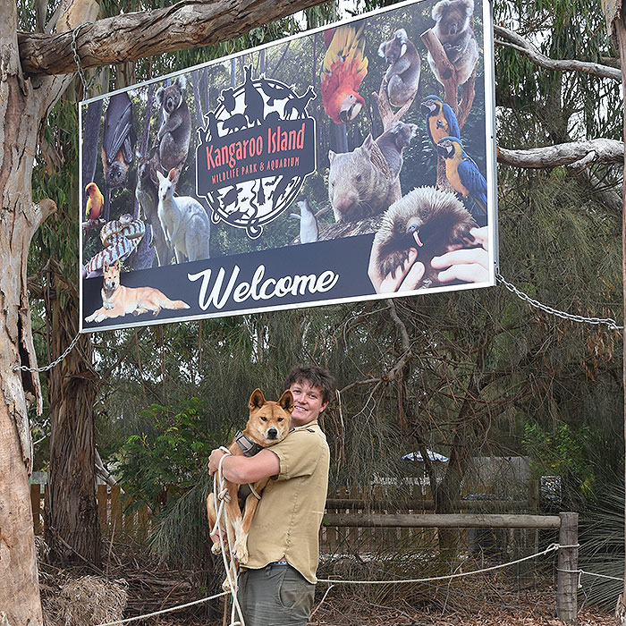 kangaroo island wildlife park tours