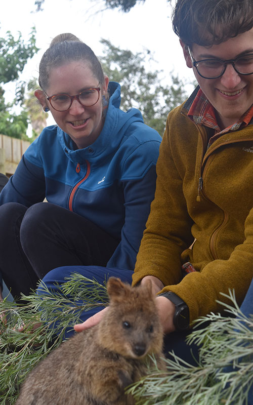 kangaroo island wildlife park private tour