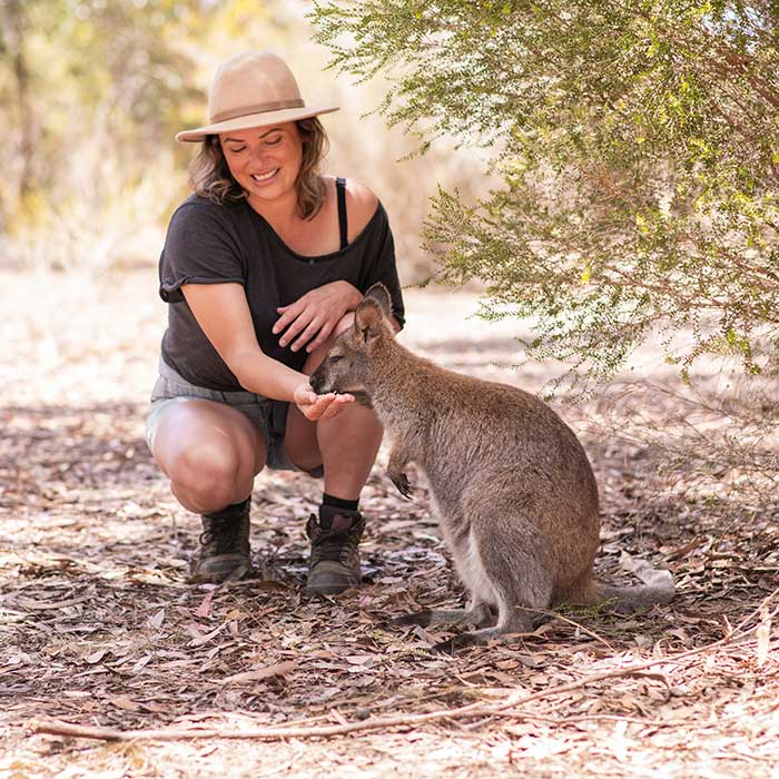 feed wallabies on kangaroo island feed wallabies on kangaroo island